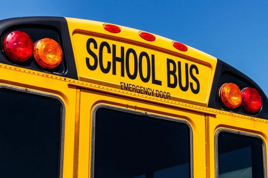 Explainer: Why Are School Buses Yellow? The Safety Reason Behind The Colour